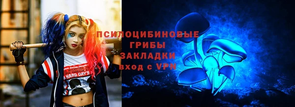 винт Абаза