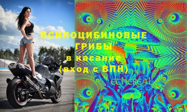 ешки Абдулино